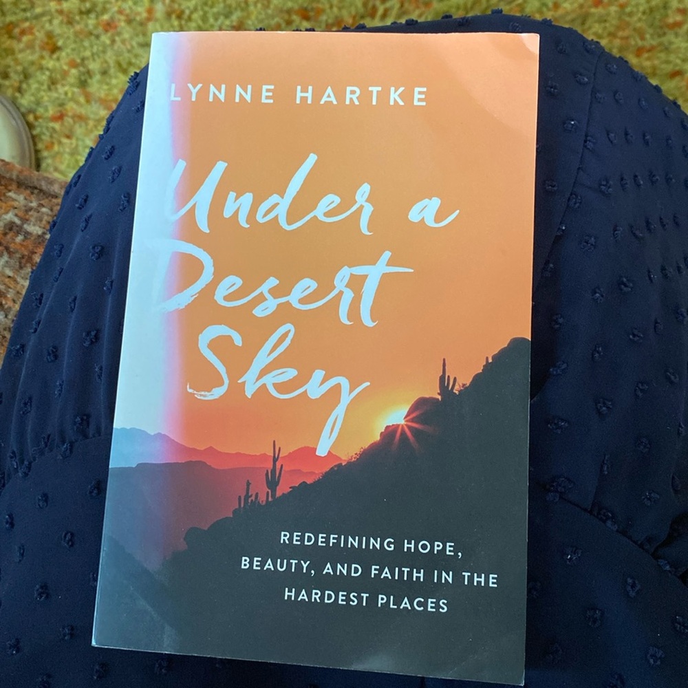 4/$10 Under a Desert Sky paperback book